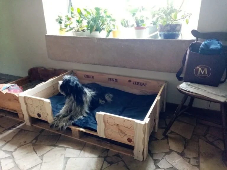 Grand lit pour chien | © LA DEUXIÈME VIE DU BOIS